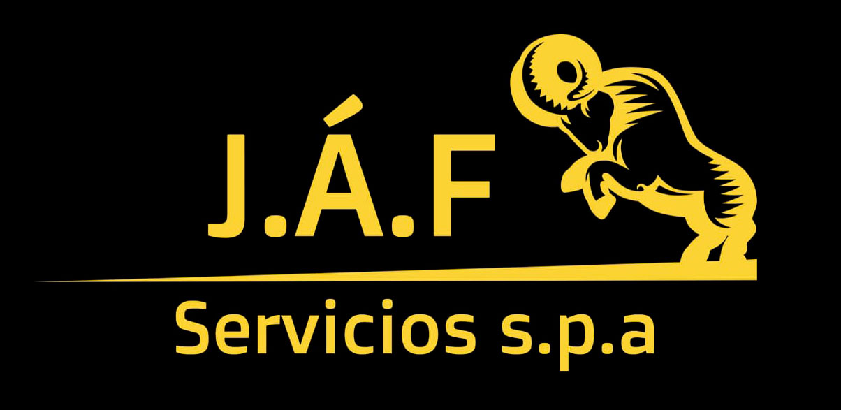 www.jafseguridad.cl